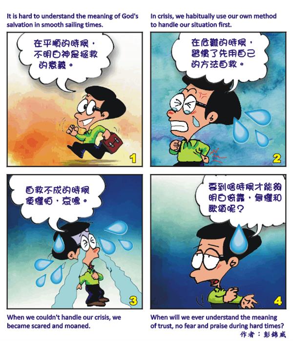  images