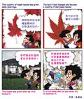 进入应许地