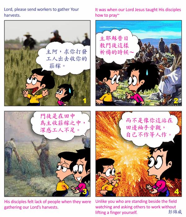  images