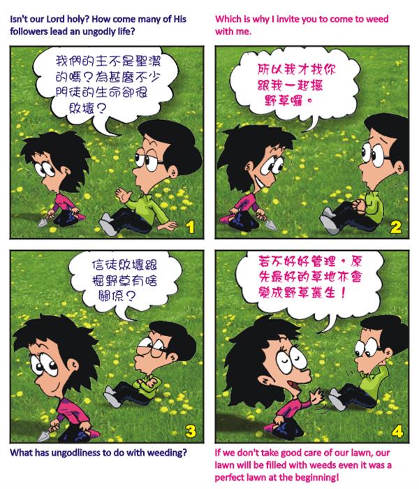  images