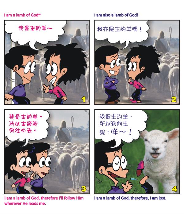  images