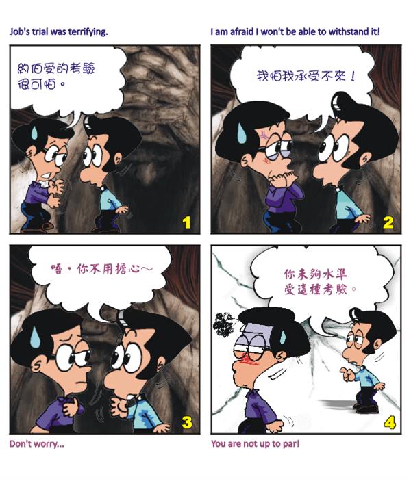  images
